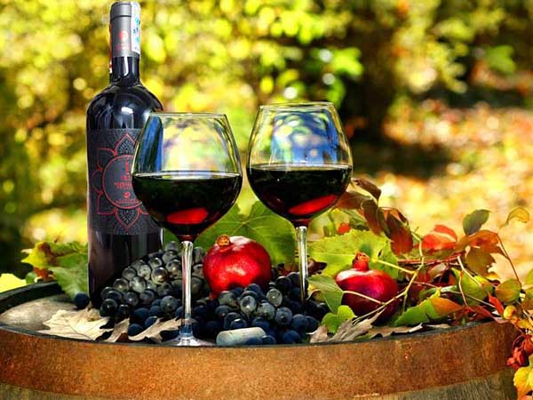 Cách thưởng thức rượu vang Ý Iris IGP cao cấp