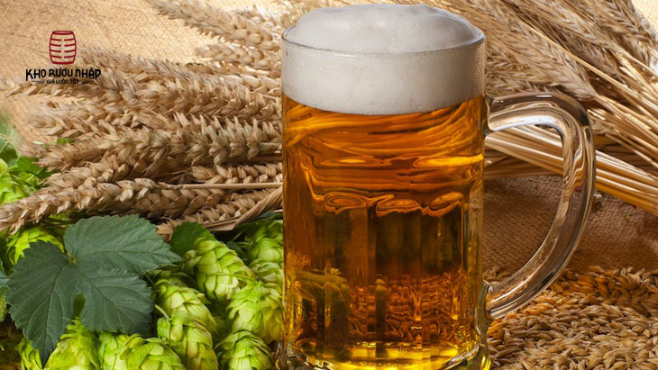 Hương vị bia 8.6 Gold 6,5% Hà Lan – thùng 12 lon 500ml