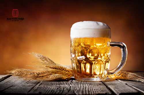 Thưởng thức bia Atlas Extra Strong 8.5% – lon 500 ml